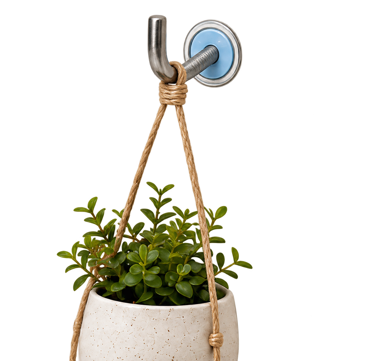 Hanging planter supported by a hook with a blue holloPoint mounting collar